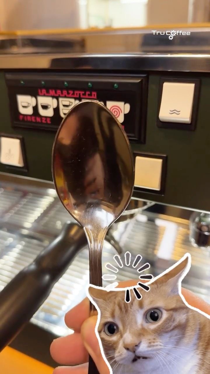 ☕ Jak zaczyna się Twój poranek?
U nas odpowiedź jest prosta – od dobrej kawy 😄
A u Ciebie? Espress